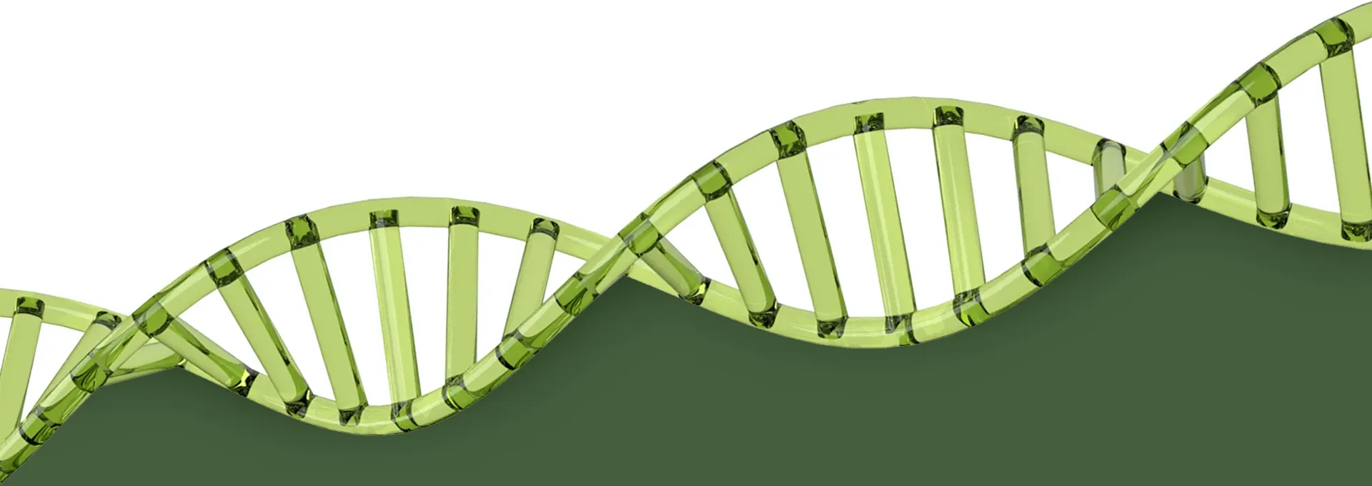 DNA